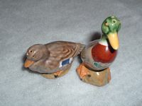 Mallard and mate