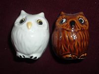 Brown and White Owls